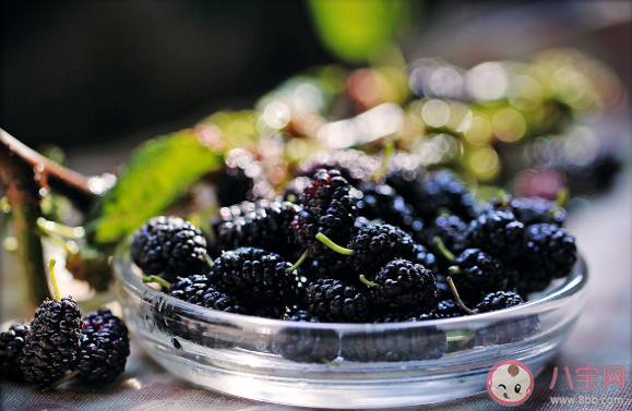 冬季孩子吃什么食物長高 冬季幫助孩子長高5道食療食譜