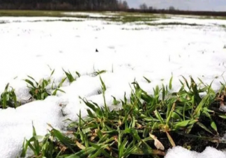 二十四節(jié)氣中“小寒”和“大寒”都是冬季節(jié)氣哪個時段更冷 支付寶螞蟻莊園1月6日問題答案