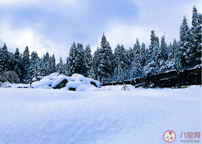 2021第一場雪朋友圈說說句子 2021第一場雪朋友圈雪景配文案句子