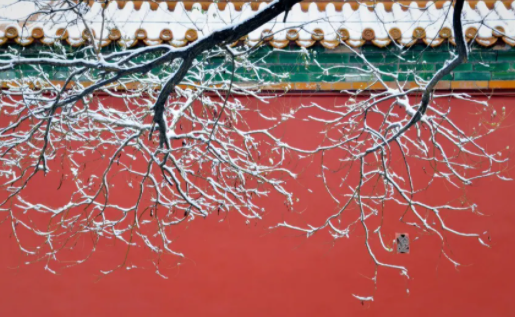 雪后變裝最美的城市是哪里 雪景最美的城市旅游指南