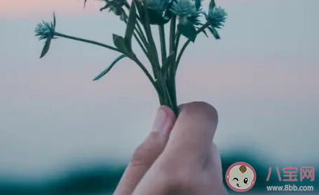 有哪些高效好用的方法消滅負(fù)能量 清除負(fù)能量的小技巧