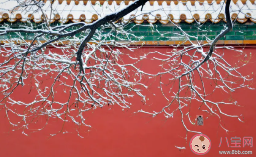 有哪些高效好用的方法消滅負能量 清除負能量的小技巧 有哪些高效好用的方法消滅負能量 清除負能量的小技巧