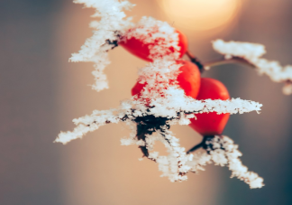 臘八節(jié)和大寒節(jié)氣同一天祝福語怎么發(fā) 臘八節(jié)和大寒節(jié)氣同一天朋友圈說說