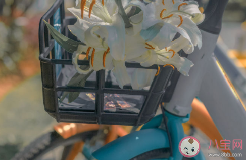 記錄人間煙火的文案說(shuō)說(shuō) 充滿人間煙火氣的唯美句子 記錄人間煙火的文案說(shuō)說(shuō) 充滿人間煙火氣的唯美句子