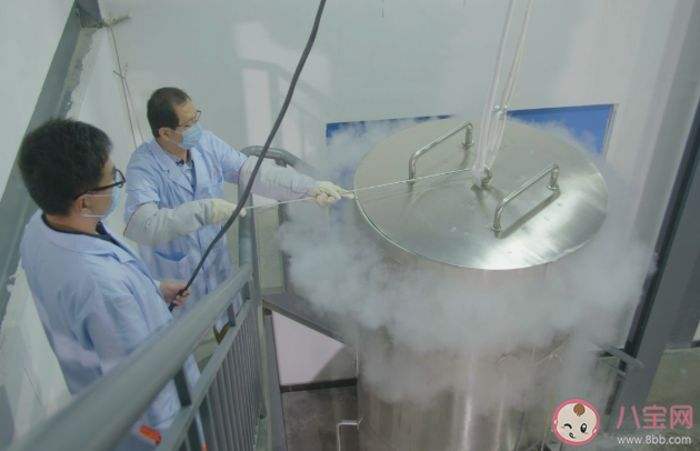 中國第一家人體冷凍中心在哪里 人體冷凍真的能被復活嗎