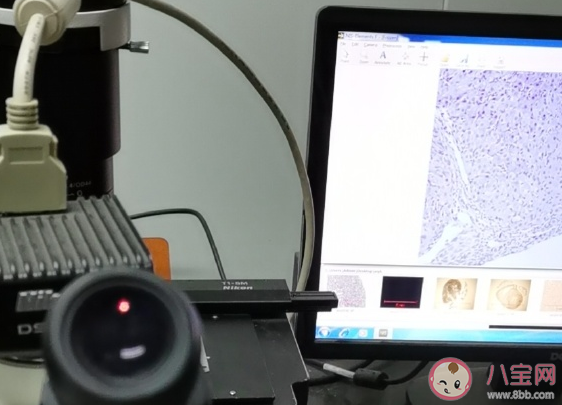 到年底回家的朋友圈說說 過年回家心情感言。