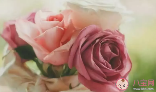 生活中有哪些值得堅持的小習慣 受益一生的小習慣盤點 生活中有哪些值得堅持的小習慣 受益一生的小習慣盤點