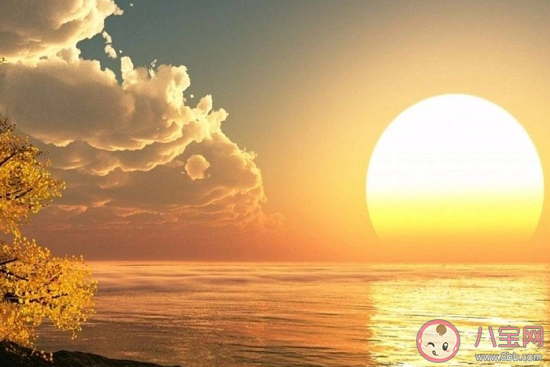 秦嵐談年齡焦慮說了些什么 如何緩解年齡焦慮問題