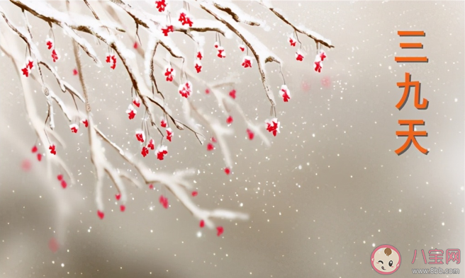 今年三九為什么沒有二九冷 ?今年的三九天是從什么時候到什么時候