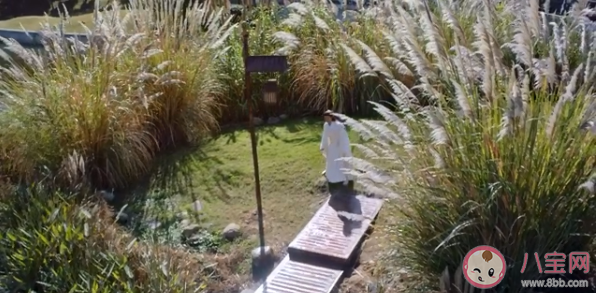 《上陽賦》子澹結局是什么 子澹最后和誰在一起了 《上陽賦》子澹結局是什么 子澹最后和誰在一起了