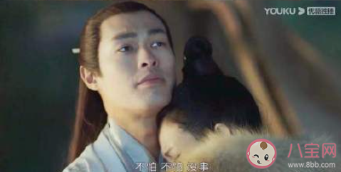 上陽賦三皇子結局是什么 子澹和胡瑤在一起了嗎