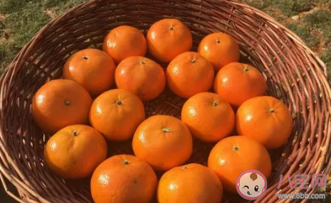 沃柑吃多了上火應該怎么辦 哪里的沃柑是最好吃的