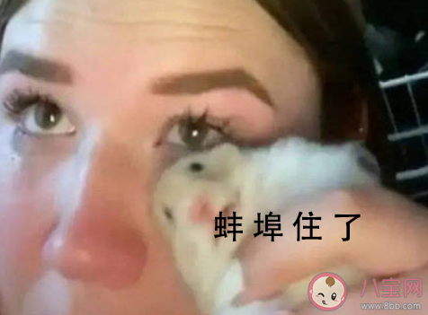 蚌埠住了是什么梗 蚌埠住了梗的出處是什么