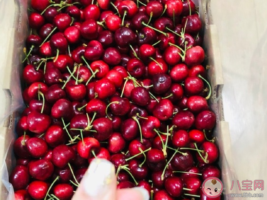 實現車厘子自由曬朋友圈說說 曬吃車厘子幽默搞笑句子 實現車厘子自由曬朋友圈說說 曬吃車厘子幽默搞笑句子