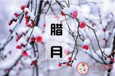 開始進入臘月的心情句子 臘月開始了的句子大全