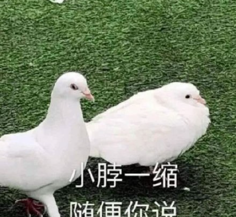 你是學(xué)什么的如何造句 你是學(xué)什么的套路句子大全