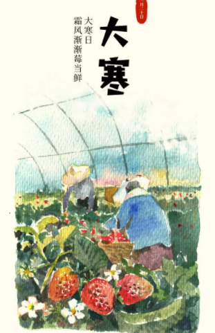 2021大寒節氣創意海報文案 各品牌大寒借勢海報大全 2021大寒節氣創意海報文案 各品牌大寒借勢海報大全