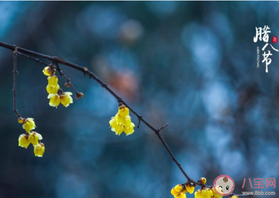 2021臘八節早安心語圖片說說句子 2021臘八節早上好帶字圖片說說 2021臘八節早安心語圖片說說句子 2021臘八節早上好帶字圖片說說