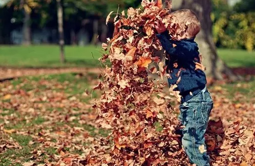 朋友圈不再曬娃的原因是什么 為什么曬娃越來(lái)越少了