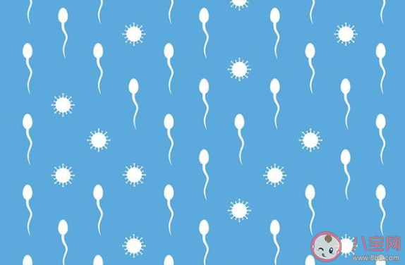 性生活能傳播新冠病毒嗎 男性患者精液中會帶病毒嗎