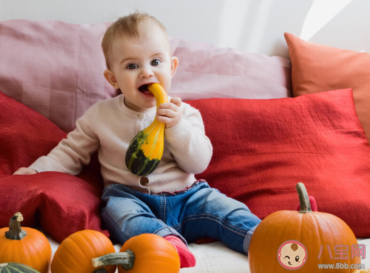 寶寶吃南瓜有哪些好處營養 寶寶輔食南瓜怎么做