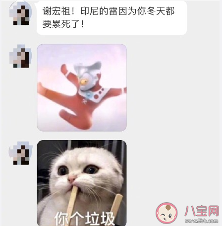 印尼的雷是什么梗 印尼的雷梗的出處是什么