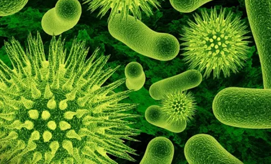 湖北核酸費(fèi)用降價(jià)到多少錢(qián) 回湖北需要核酸檢測(cè)證明嗎