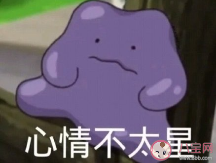 陜西進口冷凍牛肉外包裝檢出陽性是怎么回事 陜西本土病例是如何產生的