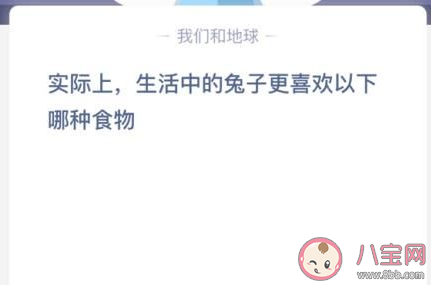 生活中的兔子更喜歡以下哪種食物 最新螞蟻莊園小課堂1月16日答案 生活中的兔子更喜歡以下哪種食物 最新螞蟻莊園小課堂1月16日答案