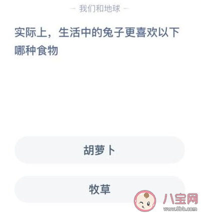 兔子最喜歡什么食物 螞蟻莊園1月16日答案