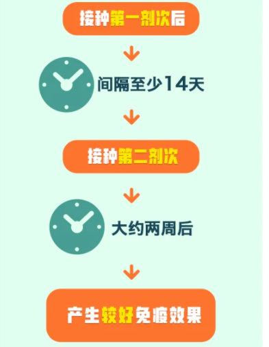 新冠疫苗兩針怎么打最有效果 間隔多久打第二針最好