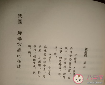 在池臺的正中像當初的懷中是什么歌 《沈園外》完整版歌詞在線聽歌