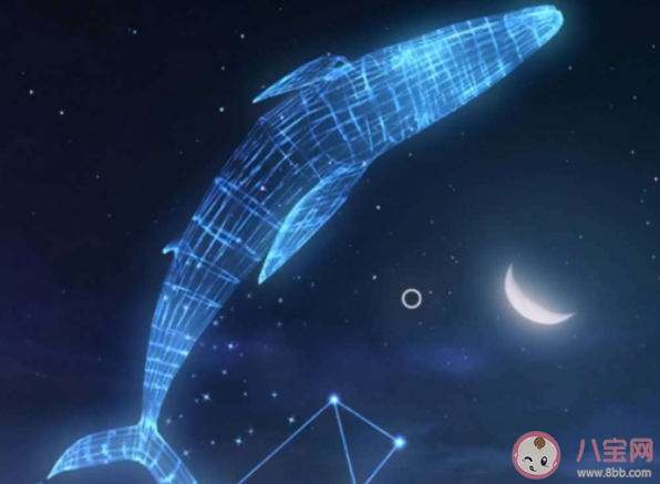 我向你奔赴而來你就是星辰大海是什么歌 《星辰大海》完整版歌詞在線聽歌 我向你奔赴而來你就是星辰大海是什么歌 《星辰大海》完整版歌詞在線聽歌