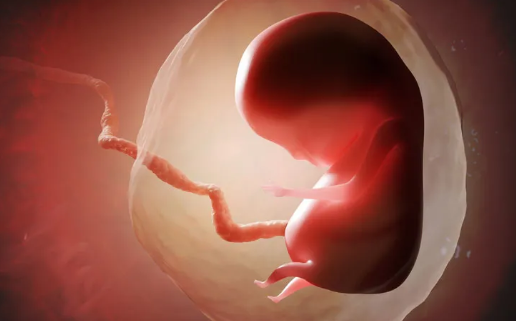 為什么要反對代孕合法化 代孕不能被放開的原因 為什么要反對代孕合法化 代孕不能被放開的原因