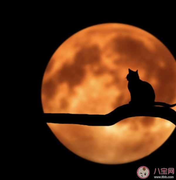 為什么人類會(huì)懼怕黑暗 非常怕黑怎么克服恐懼