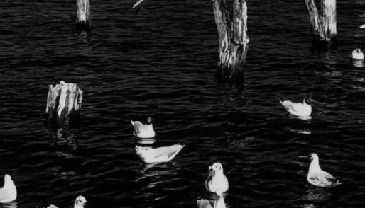 有哪些透露著遺憾的句子 表示遺憾的句子說說