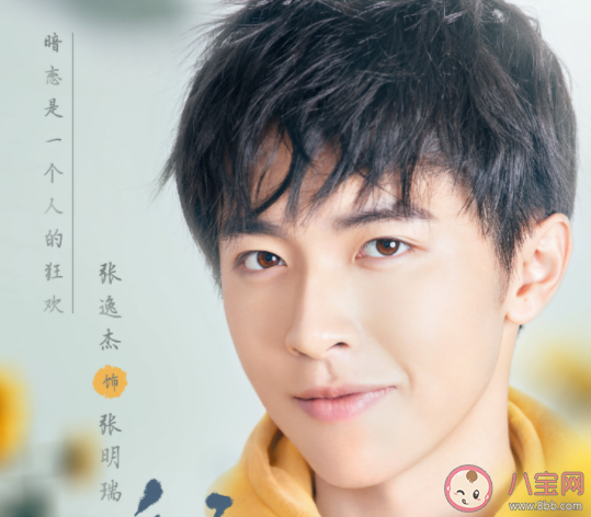 《暗戀橘生淮南》小說各人物大結局是什么 盛淮南洛枳最后結局怎樣