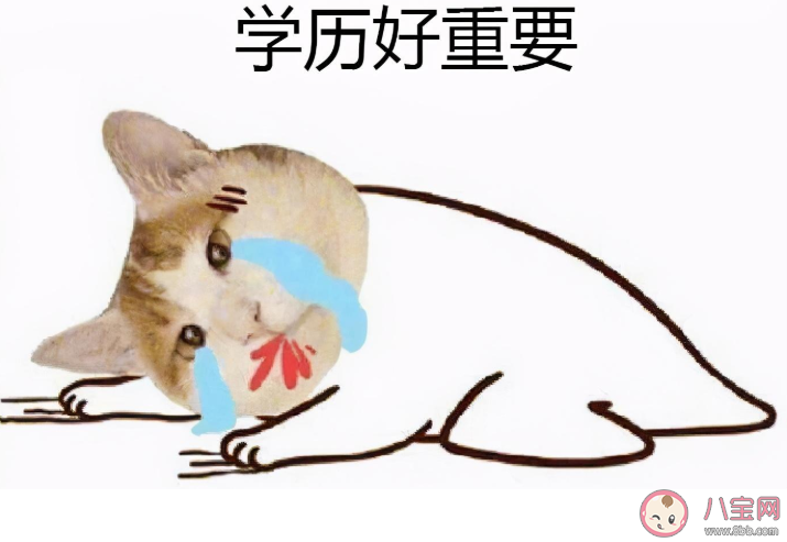 第一學歷偏好會加劇社會不公嗎 找工作時第一學歷重要還是最高學歷重要