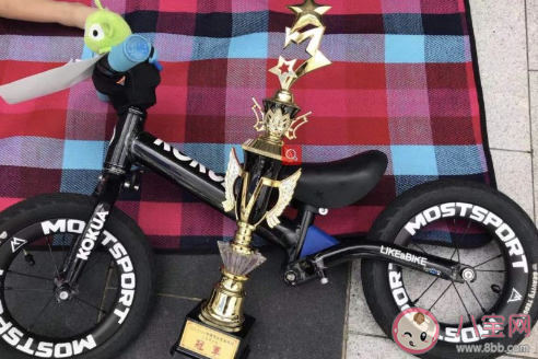 扭扭車滑板車平衡車哪一種更適合孩子玩 孩子玩平衡車的利弊 扭扭車滑板車平衡車哪一種更適合孩子玩 孩子玩平衡車的利弊