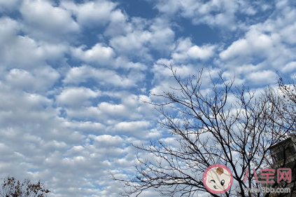 馬上要回家的心情說說 春節即將返鄉的心情感慨