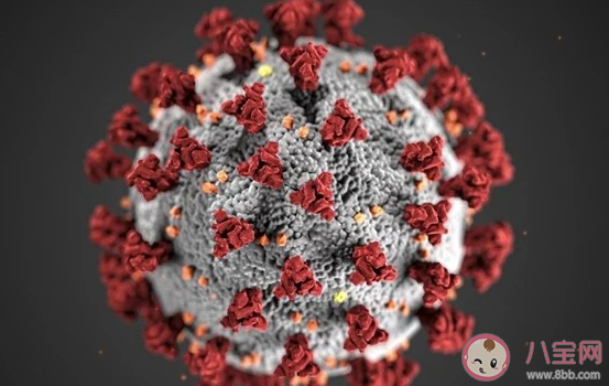 吉林1傳144是怎么回事 吉林超級(jí)傳播鏈再加長(zhǎng)