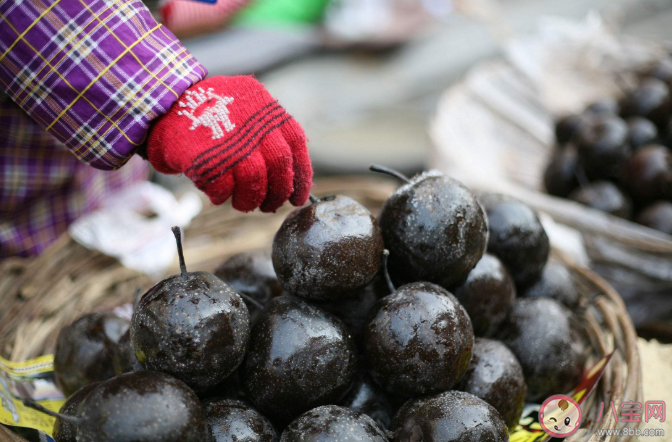 吃了凍梨拉肚子是什么原因 凍梨有幾種吃法 吃了凍梨拉肚子是什么原因 凍梨有幾種吃法
