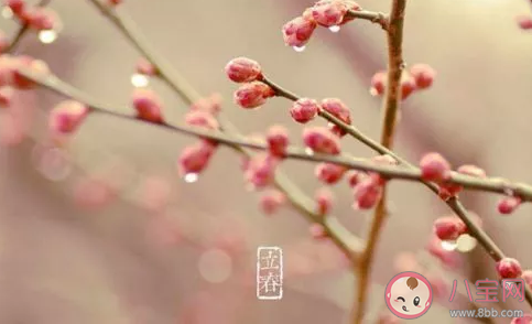 2021立春微信簡短祝福語大全 關于立春大的暖心正能量問候語 2021立春微信簡短祝福語大全 關于立春大的暖心正能量問候語