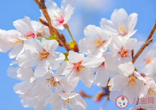 2021幼兒園立春節(jié)氣活動(dòng)美篇總結(jié) 幼兒園立春節(jié)氣新聞稿三篇 2021幼兒園立春節(jié)氣活動(dòng)美篇總結(jié) 幼兒園立春節(jié)氣新聞稿三篇