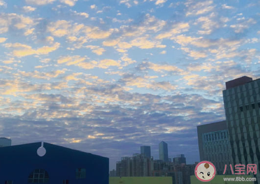 春天終于快來了心情說說 盼望春天來的唯美哲理句子