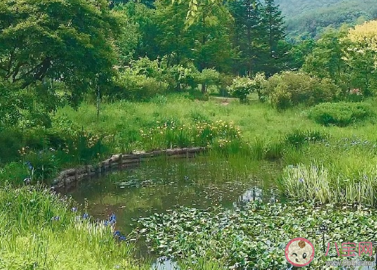 春天終于快來了心情說說 盼望春天來的唯美哲理句子