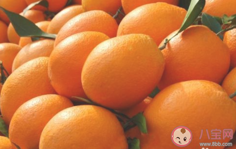 沙棘和獼猴桃哪個維生素C含量更高 螞蟻莊園3月12日答案介紹