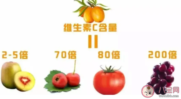 沙棘和獼猴桃的維生素C含量哪一個更高 螞蟻莊園1月22日答案