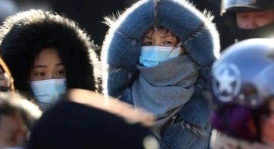 正確的戴口罩姿勢是什么 螞蟻莊園1月22日答案 正確的戴口罩姿勢是什么 螞蟻莊園1月22日答案