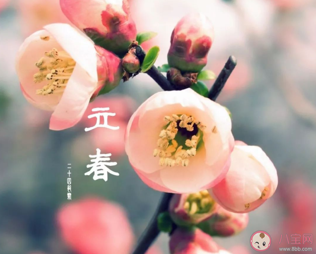 2021立春創意文案怎么寫 立春節氣特色文案示例分享
